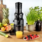 Gastroback Slow Juicer Vita Fresh mit Vor- und Rücklauf.